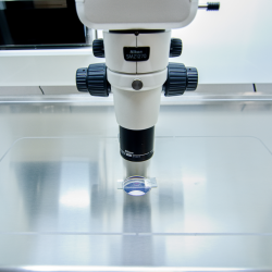 phoca_thumb_m_labox_heatingsurface_microscopeintegration Photo Gallery